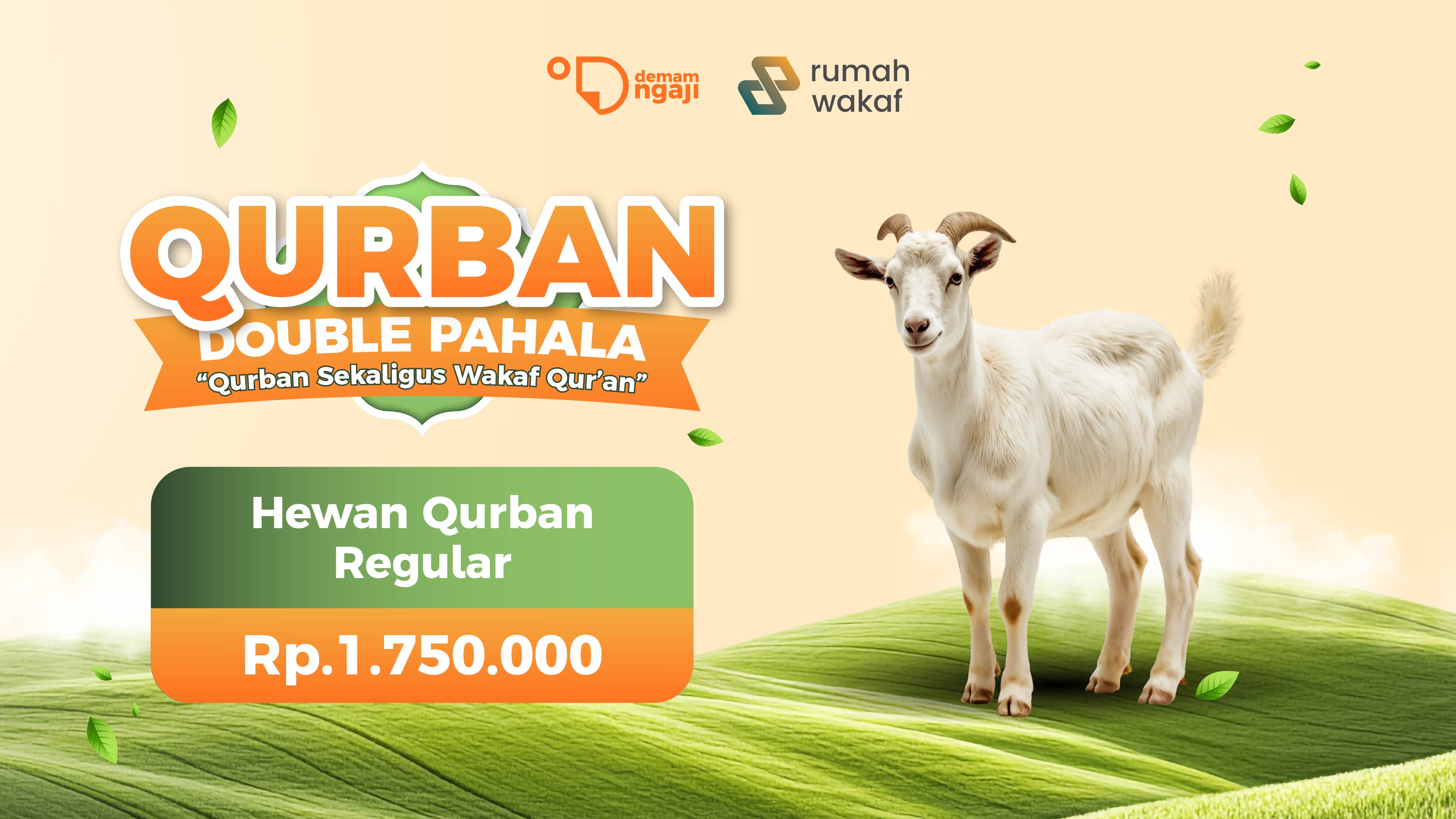 Hewan Qurban Kambing Reguler