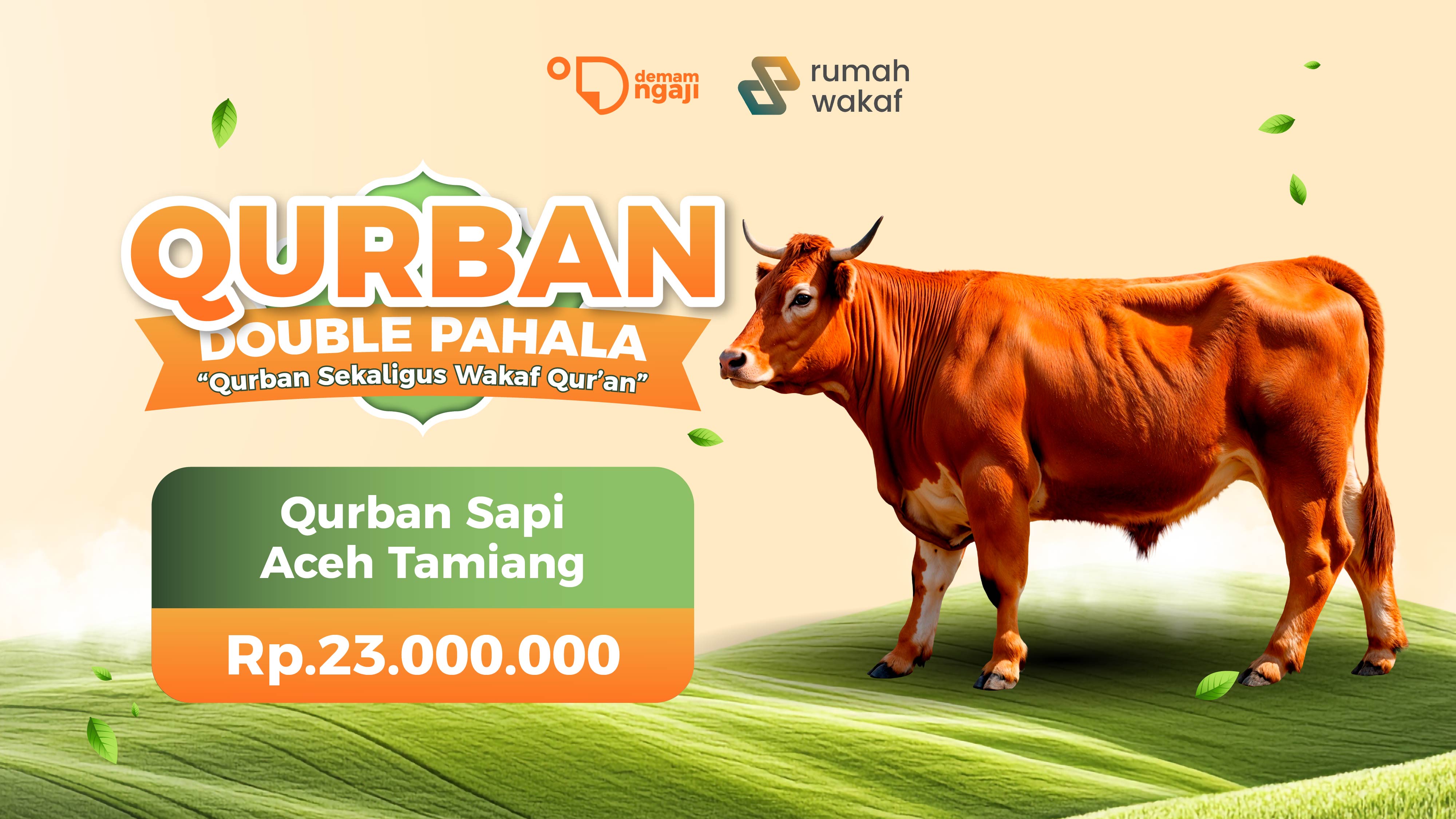 Paket Qurban Sapi Aceh Tamiang (Utuh/Ekoran)